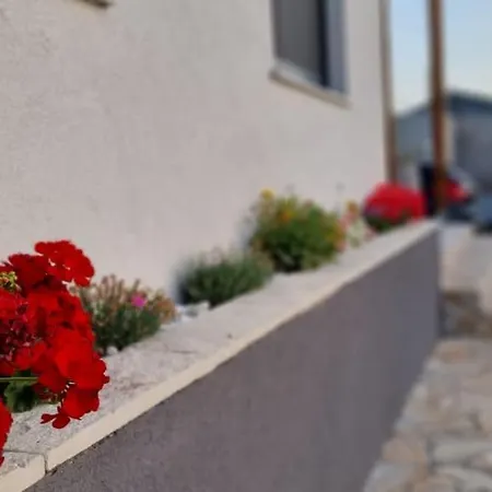 Yellow Dream Apartament