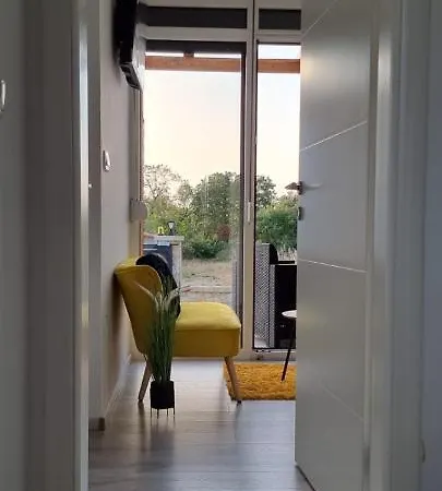 Yellow Dream