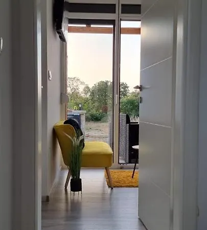 Yellow Dream