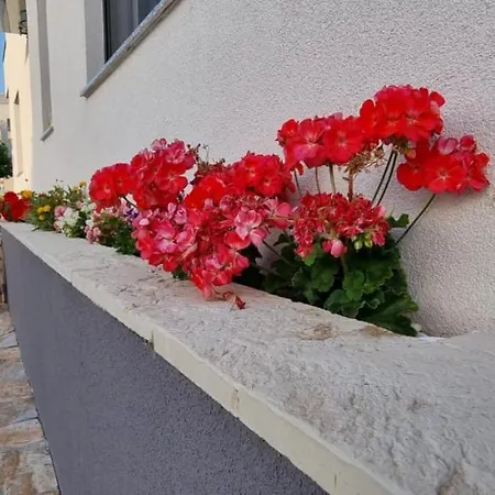 Yellow Dream Апартаменты *