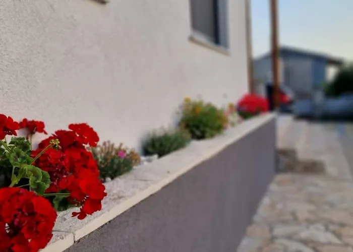 Yellow Dream Lägenhet