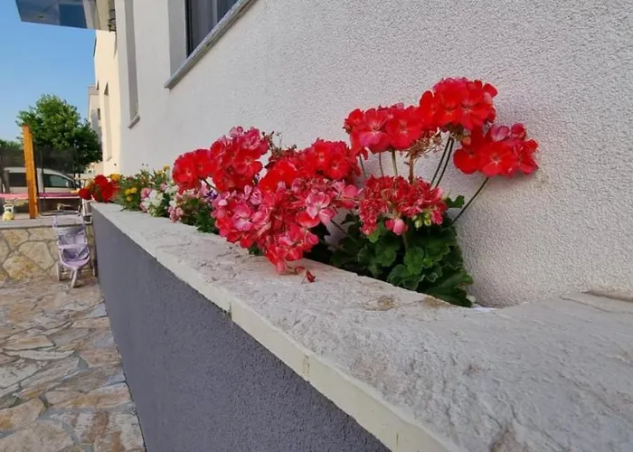 Yellow Dream Lägenhet *